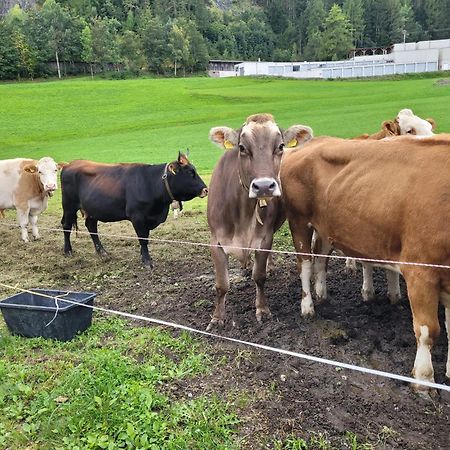 Ferienhof Bichlhof Arzl im Pitztal Luaran gambar