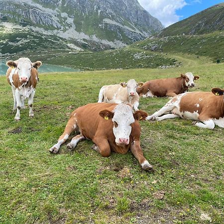 Ferienhof Bichlhof Arzl im Pitztal Bilik gambar